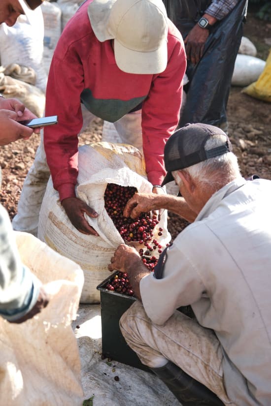 Single Origin Espresso Roast Subscription - Image 3