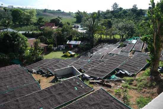 Single Origin Espresso Roast Subscription - Image 4