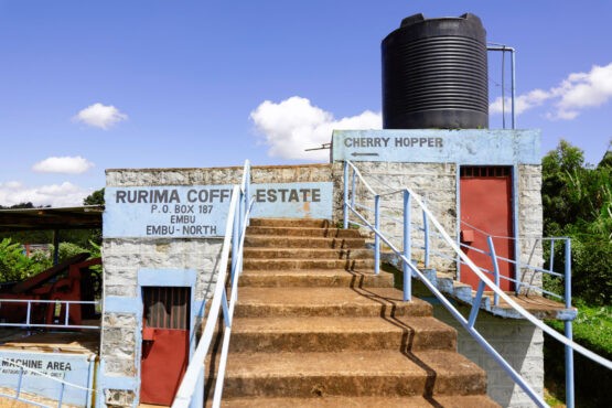 Kenya Rurima Estate AB - Single Origin Filter Roast - Image 8